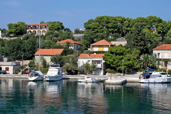Rogač - photo 5