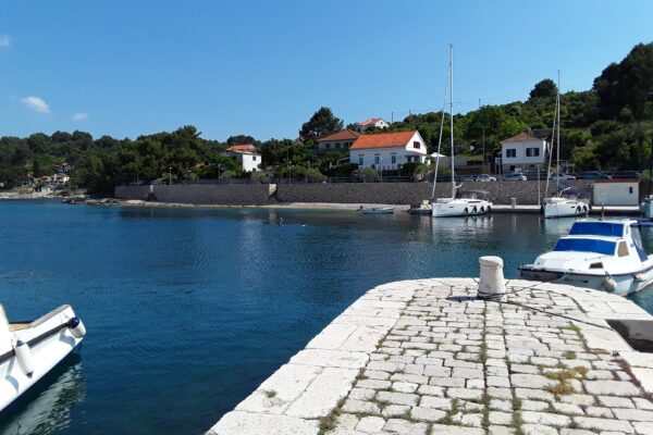 Rogač - photo 6