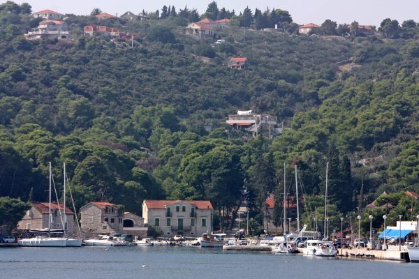 Rogač - photo 9