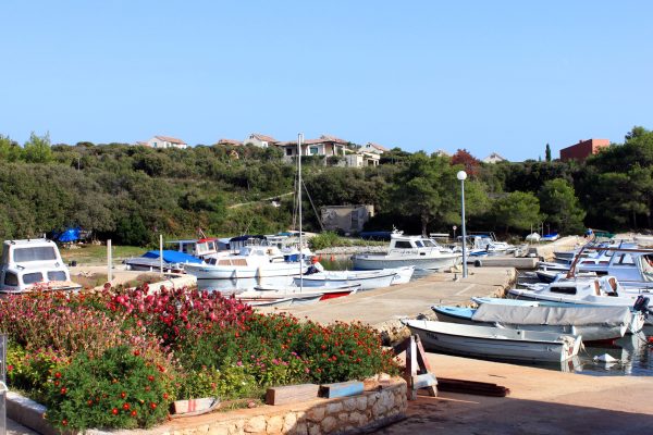 Guduće - photo 2