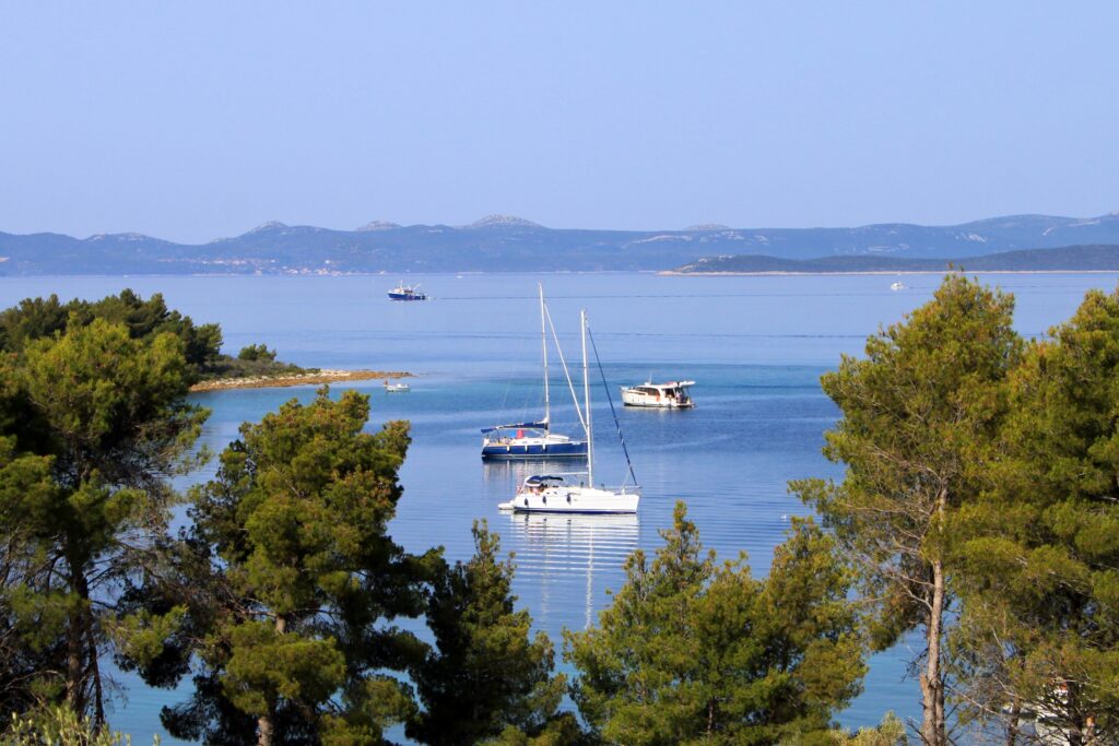 Dalmatia Ugljan Kuncabok Croatia