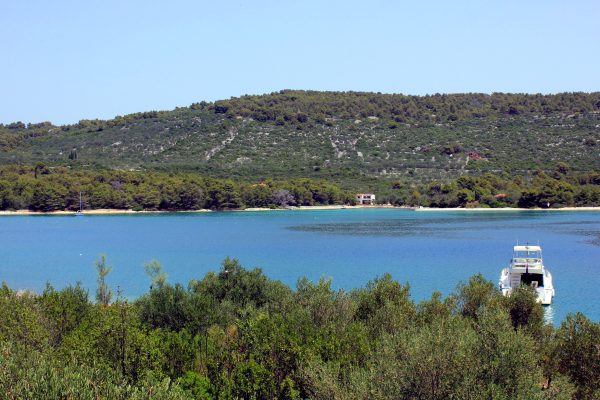 Mala Lamjana