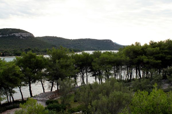 Mala Lamjana - photo 6