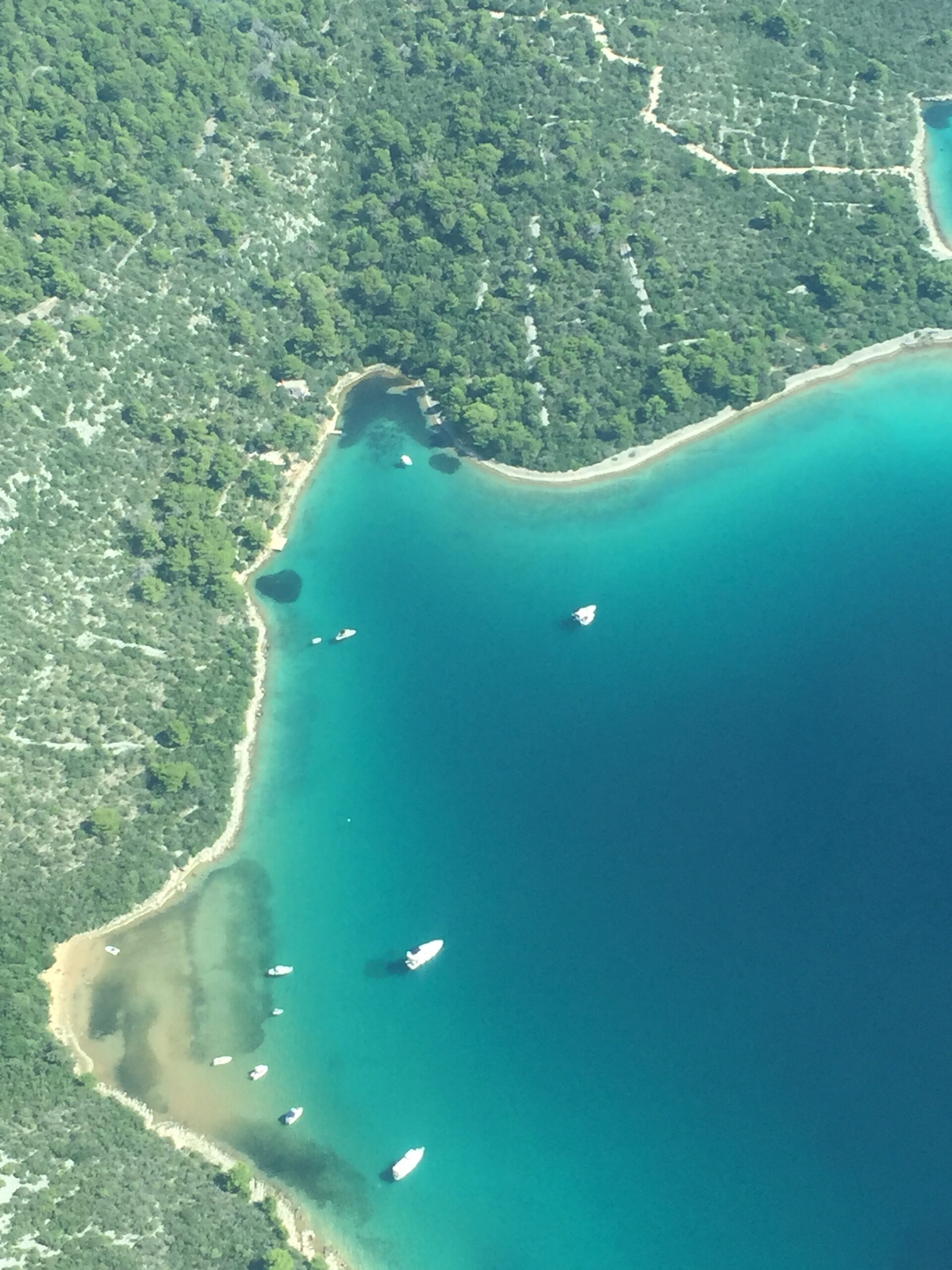 Maževica