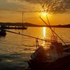 Muline - photo 10