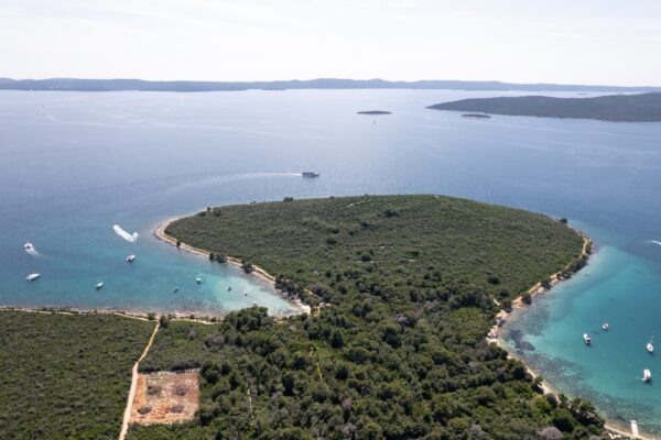 Muline - photo 2