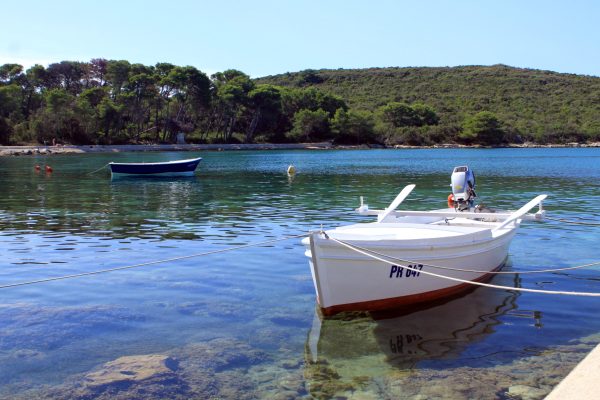 Muline - photo 4