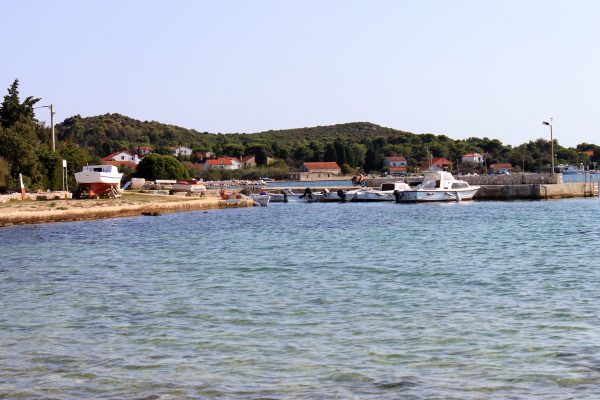 Muline - photo 6