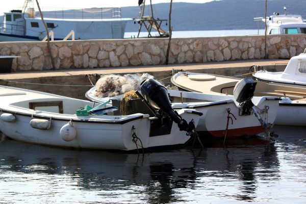 Muline - photo 7