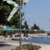 Poljana - photo 14