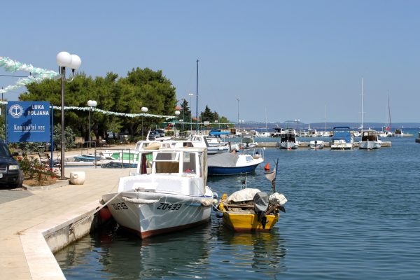 Poljana - photo 9