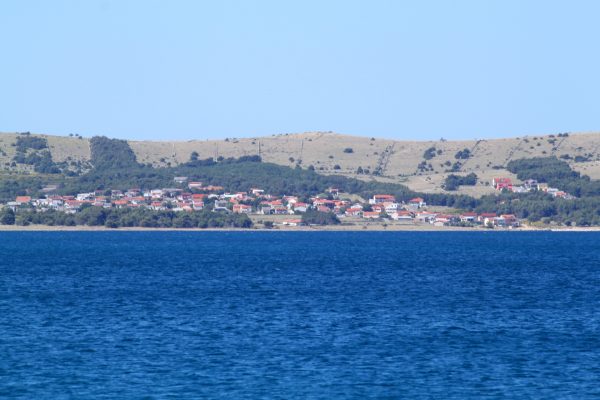 Vir