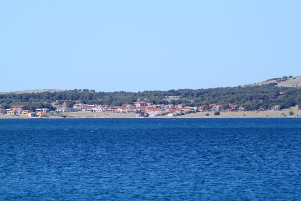Vir - photo 2