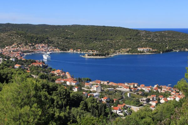 Vis