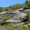 Duboka - photo 12