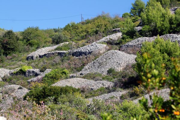 Duboka - photo 12