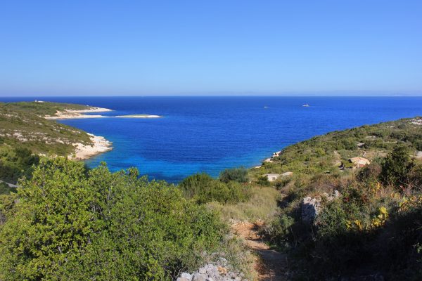 Mala Svitnja