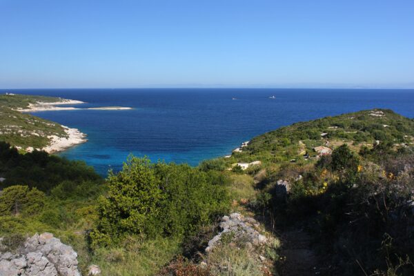 Mala Svitnja - photo 9