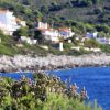 Milna - photo 7