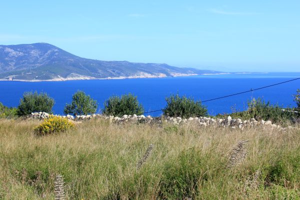 Porat – Biševo - photo 18