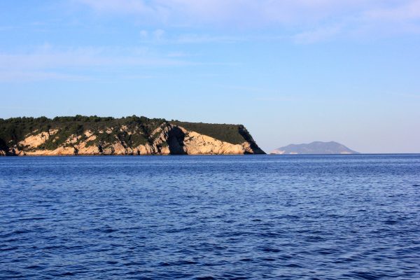 Salbunara – Biševo - photo 10