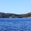 Salbunara – Biševo - photo 11