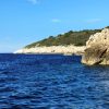 Salbunara – Biševo - photo 24