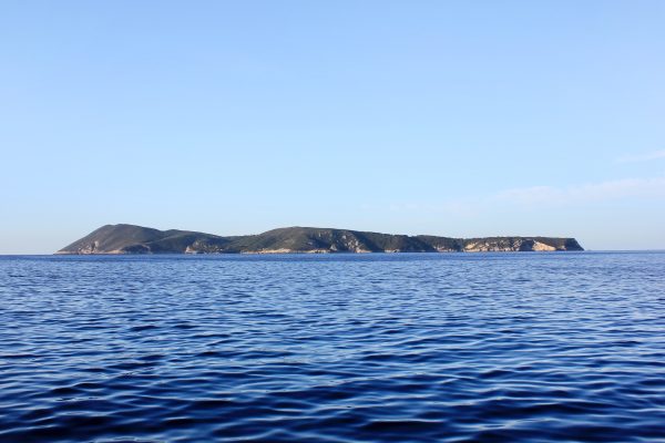 Salbunara – Biševo - photo 32