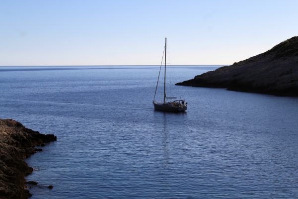 Smiričevica - photo 9