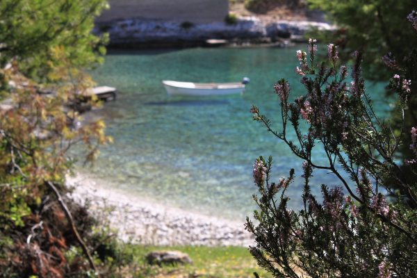 Velika Travna - photo 9