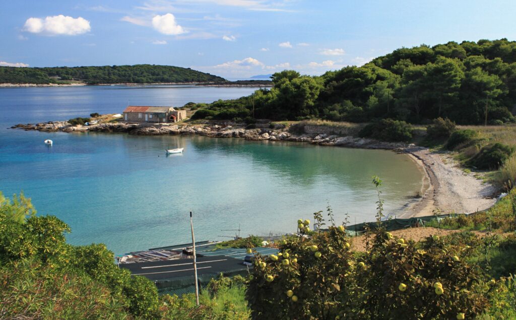Dalmatia Vis Zaglav Croatia