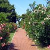 Vodice - photo 12