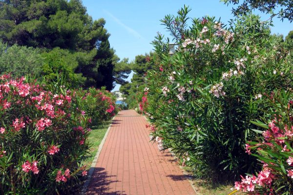 Vodice - photo 12