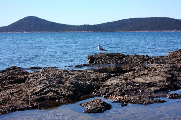 Vodice - photo 25