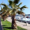 Srima – Vodice - photo 8