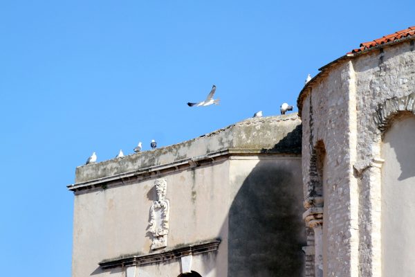 Zadar - photo 16