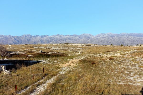 Rtina – Benići - photo 2