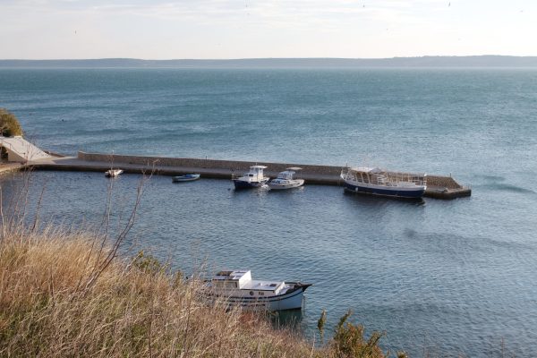 Rtina – Miletići - photo 2