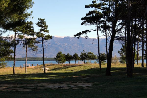 Sabunike - photo 3