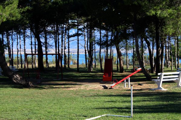 Sabunike - photo 7
