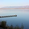 Sabunike - photo 9