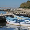 Vrsi – Mulo - photo 10