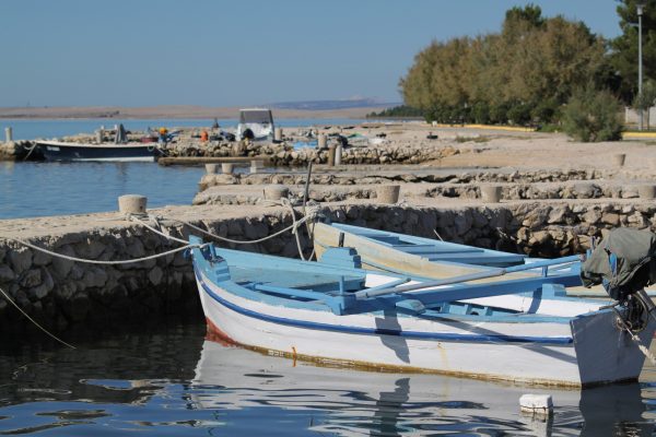 Vrsi – Mulo - photo 10