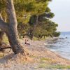 Zaton - photo 5