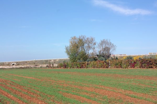 Zemunik Gornji