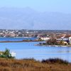 Zukve - photo 2