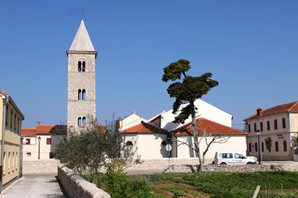 Zukve - photo 4