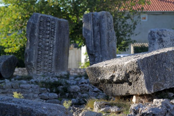 Zukve - photo 6