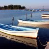 Zukve - photo 8