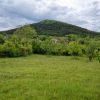 Dicmo - photo 4